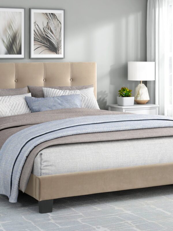 Walker Edison | Queen Velvet Platform Bed