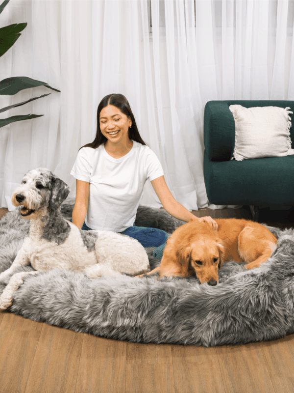 Paw - PupCloud™ Human-Size Faux Fur Memory Foam Dog Bed - Charcoal Grey